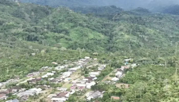 7.000 Hektare Hutan Taman Nasional Bukit Barisan Selatan Dirambah, Diduga untuk Perkebunan Kopi