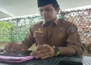 Kejar Potensi Rp25 Miliar, Pemkab Pasaman Barat Minta Perusahaan Sawit Balik Nama Kendaraan 3 Kejar Potensi Rp25 Miliar, Pemkab Pasaman Barat Minta Perusahaan Sawit Balik Nama Kendaraan