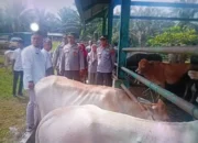 Jelang Idul Adha, Pemkab Pasaman Barat Perketat Pengawasan Hewan Ternak