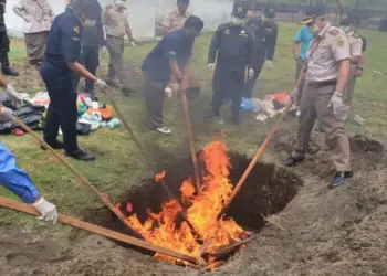 Karantina Sumbar Musnahkan 168 Kg Komoditas Ilegal di BIM