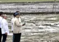 Presiden Prabowo Uji Drone Penebar Benih di Banyuasin: 25 Hektare Sawah Tertanami Sehari