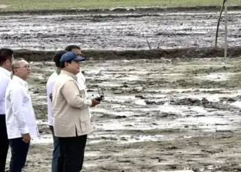 Presiden Prabowo Uji Drone Penebar Benih di Banyuasin: 25 Hektare Sawah Tertanami Sehari