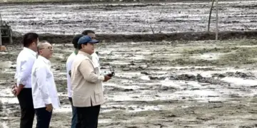 Presiden Prabowo Uji Drone Penebar Benih di Banyuasin: 25 Hektare Sawah Tertanami Sehari