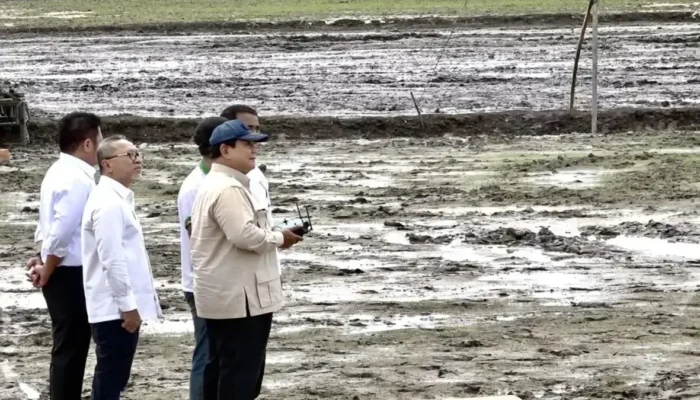 Presiden Prabowo Uji Drone Penebar Benih di Banyuasin: 25 Hektare Sawah Tertanami Sehari