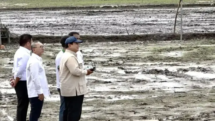Presiden Prabowo Subianto menebarkan benih padi menggunakan drone saat acara tanam raya di lahan rawa, Kabupaten Banyuasin, Sumatera Selatan, Rabu (23/4/2025). ANTARA/Suci Nurhaliza.