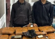 ​​​​​Bawa 14 Paket Ganja dari Sumut, Dua Pemuda Ditangkap di Bukittinggi