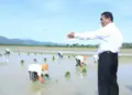 Mentan Amran Sulaiman mengecek areal sawah yang tengah ditanami. (dok. Kementan)