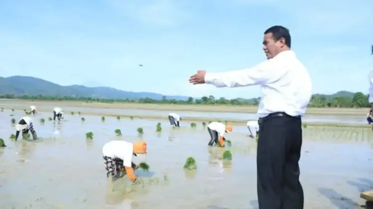 Musim Tanam April, Kementan Pastikan Tak Ada Lagi Pupuk Telat 1 Mentan Amran Sulaiman mengecek areal sawah yang tengah ditanami. (dok. Kementan)