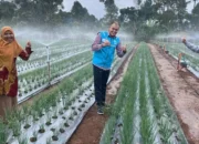 PLN UP3 Bukittinggi Giatkan Program Pompanisasi dan Elektrifikasi Pertanian di Agam