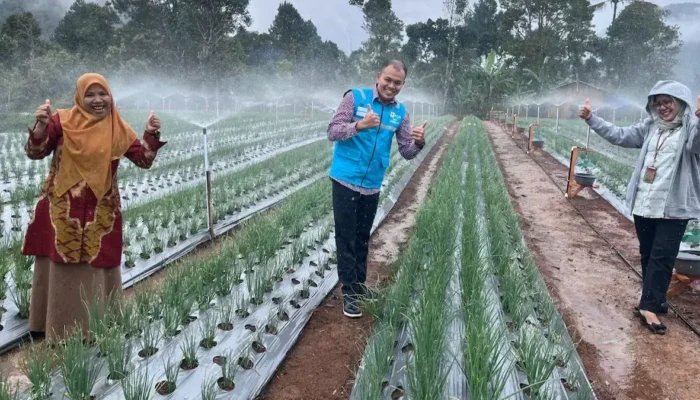 PLN UP3 Bukittinggi Giatkan Program Pompanisasi dan Elektrifikasi Pertanian di Agam