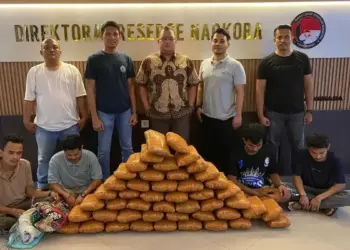 Dirresnarkoba Polda Sumbar amankan dua karung ganja di dua lokasi dengan barang bukti 47 paket besar. (dok. istimewa)