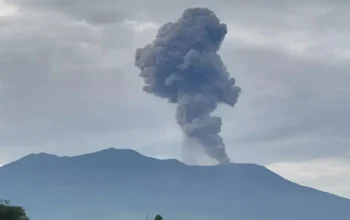 Gunung Marapi di Kabupaten Agam dan Kabupaten Tanah erupsi engan tinggi kolom abu tertinggi mencapai 1.500 meter di atas puncak pada Kamis pagi (3/4/2025). (ANTARA/Muhammad Zulfikar)