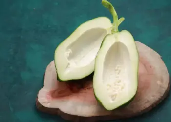 ilustrasi pepaya muda. (dok. istimewa)