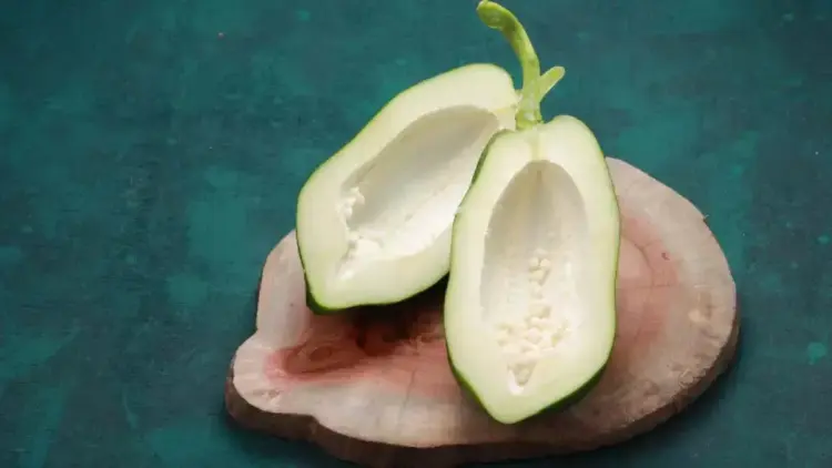 Waspada Konsumsi Pepaya Muda, Kenali Manfaat dan Efek Sampingnya 1 ilustrasi pepaya muda. (dok. istimewa)