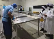 Perang Dagang: Badan Mutu KKP Sumbar Dukung Perluasan Pasar Ekspor Tuna