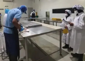 Perang Dagang: Badan Mutu KKP Sumbar Dukung Perluasan Pasar Ekspor Tuna