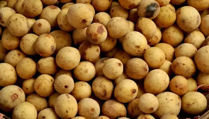 Khasiat Buah Duku untuk Kesehatan, Si Kecil dengan Segudang Manfaat