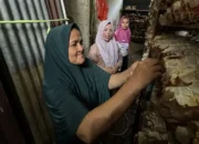 Semen Padang Dukung Budidaya Jamur Tiram Tumbuh Jadi Sumber Ekonomi Warga di Baringin