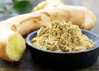 ilustrasi kunyit putih. (dok. istimewa)