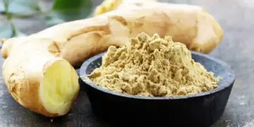 Benarkah Kunyit Putih Bermanfaat untuk Asam Lambung? 8 ilustrasi kunyit putih. (dok. istimewa)