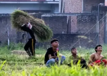 Bulog Sumbar Dorong Tanam Padi Serentak Jaga Harga Gabah dan Ketahanan Pangan 6 Bulog Sumbar Dorong Tanam Padi Serentak Jaga Harga Gabah dan Ketahanan Pangan