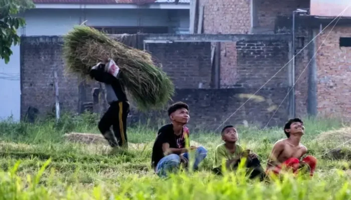 Bulog Sumbar Dorong Tanam Padi Serentak Jaga Harga Gabah dan Ketahanan Pangan