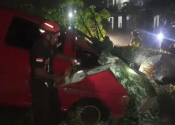 Pohon tumbang timpa mobil di Kelurahan Padang Besi, Kecamatan Lubuk Kilangan, Kota Padang. (dok. Humas BPBD Padang)