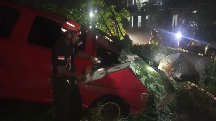 Angin Kencang, Satu Unit Mobil Ringsek Ditimpa Pohon Kedondong di Padang Besi 1 Pohon tumbang timpa mobil di Kelurahan Padang Besi, Kecamatan Lubuk Kilangan, Kota Padang. (dok. Humas BPBD Padang)