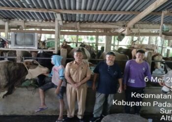 Jelang Idul Adha, Pemkab Padang Pariaman Bentuk Empat Tim Awasi Pemotongan Hewan Kurban