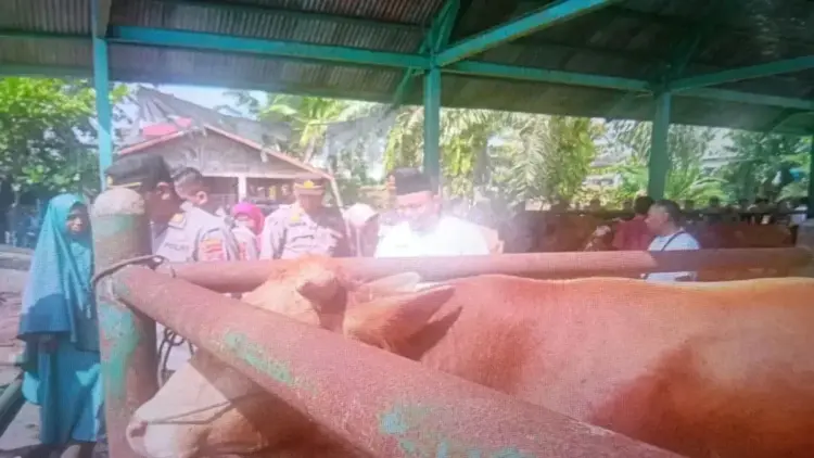 Sekretaris Dinas Perkebunan dan Peternakan Pasaman Barat Afrizal (baju putih) saat meninjau pasar ternak Simpang Tiga Kecamatan Luhak Nan Duo beberapa waktu lalu. ANTARA/Altas Maulana.