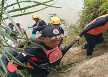 Pencarian Berakhir Tragis, Korban Diterkam Buaya di Pasaman Ditemukan Meninggal Dunia