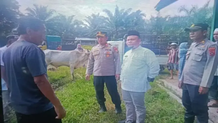 Jelang Idul Adha, Pemkab Pasaman Barat Intensifkan Pemeriksaan Kesehatan Ternak 1 Kepala Dinas Perkebunan dan Peternakan Pasaman Barat Afrizal (baju putih) saat meninjau tempat pemotongan hewan di Simpang Tiga Kecamatan Luhak Nan Duo beberapa waktu lalu. ANTARA/Altas Maulana.