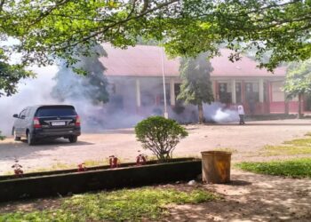 29 Kasus DBD Terjadi di Pasaman Barat, Satu Pasien Meninggal Dunia