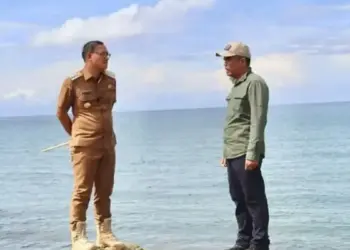 Pemkab Mentawai Bangun Dermaga Baru di Dusun Sao, Perkuat Konektivitas Antar Pulau 2 Pemkab Mentawai Bangun Dermaga Baru di Dusun Sao, Perkuat Konektivitas Antar Pulau