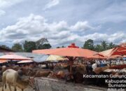 Jelang Idul Adha, Pemkab Solok Perketat Pengawasan Kesehatan Hewan Kurban