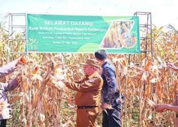 Wujudkan Swasembada Pangan, Pemko Payakumbuh Genjot Pemanfaatan Lahan Tidur