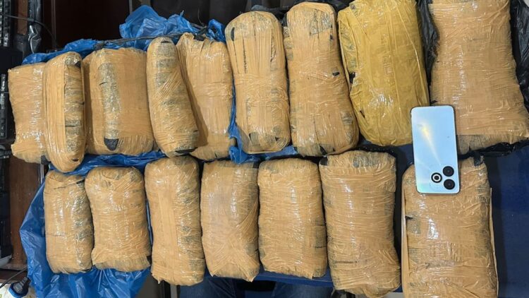 Ditresnarkoba Polda Sumbar gagalkan pengiriman 17 Kilogram ganja di Agam. (dok. istimewa)