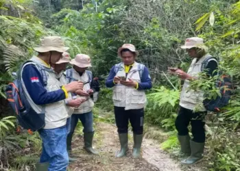 Wujudkan Nagari Ramah Harimau, BKSDA Sumbar Bentuk Tim Patroli Anak Nagari di Koto Tinggi