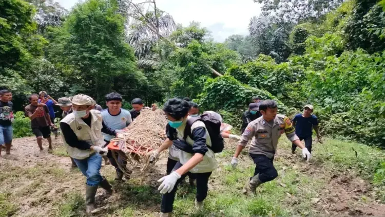 Petugas BKSDA Sumbar bersama Tim Pagari sedang evakuasi harimau sumatera. Dok ANTARA/Yusrizal