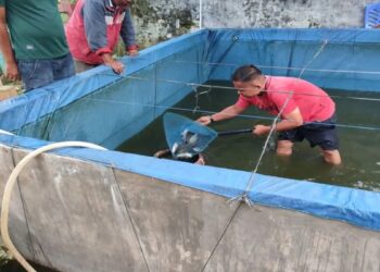 Rutan Lubuk Sikaping Luncurkan Budidaya Ikan Nila Bioflok, Dukung Kemandirian WBP dan Ketahanan Pangan
