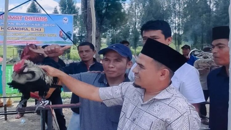 Wakil Bupati Solok Candra memberikan kata sambutan saat menghadiri kontes Ayam Kukuek Balenggek di Alahan Panjang Resort, Kecamatan Lembah Gumanti, Kabupaten Solok, Sumbar. ANTARA/HO-Diskominfo Solok
