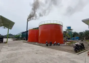 PLN dorong hilirisasi pabrik sawit. (dok. istimewa)