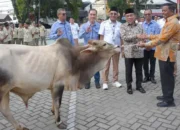 Perumda AM Serahkan 88 Ekor Hewan Kurban untuk Disalurkan ke Masjid dan Musalah di Padang