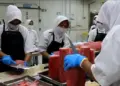 Mendag RI Lepas Ekspor Tuna dari Sumbar ke UEA, Nilainya Rp1,87 Miliar 7 Pemotongan ikan tuna untuk komoditas ekspor di PT Dempo Andalas Sumatera. (dok. Fandi Yogari/Antara)