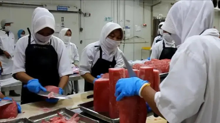 Pemotongan ikan tuna untuk komoditas ekspor di PT Dempo Andalas Sumatera. (dok. Fandi Yogari/Antara)