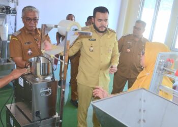 Wako Fadly Amran melihat suasana di Sentra Rendang. (dok. Prokopim)