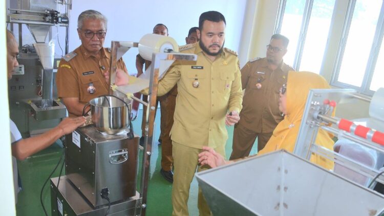 Wako Fadly Amran akan Optimalkan Fungsi Sentra Rendang Sebagai Rumah Wirausaha IKM 1 Wako Fadly Amran melihat suasana di Sentra Rendang. (dok. Prokopim)