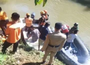 Warga Agam Hilang di Kebun Sawit, Tim Gabungan Sisir Sungai dan Perkebunan