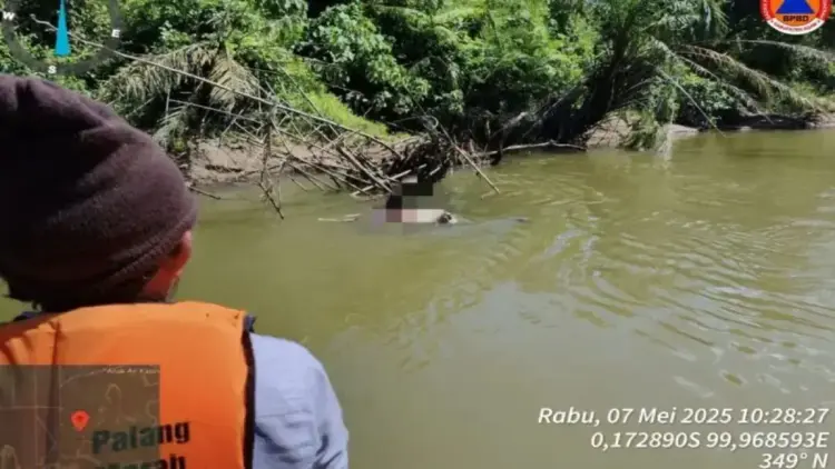 Hilang di Kebun Sawit, Petani di Agam Ditemukan Meninggal Mengapung di Sungai 1 Tim Gabungan Pemkab Agam menemukan korban mengapung di Sungai Masang Kiri, Rabu (7/5). Dok ANTARA/HO/BPBD Agam