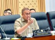 BPP HIPMI Audiensi dengan DPR, Andre Rosiade: UMKM dan Pengusaha Muda jadi Prioritas Kebijakan BUMN